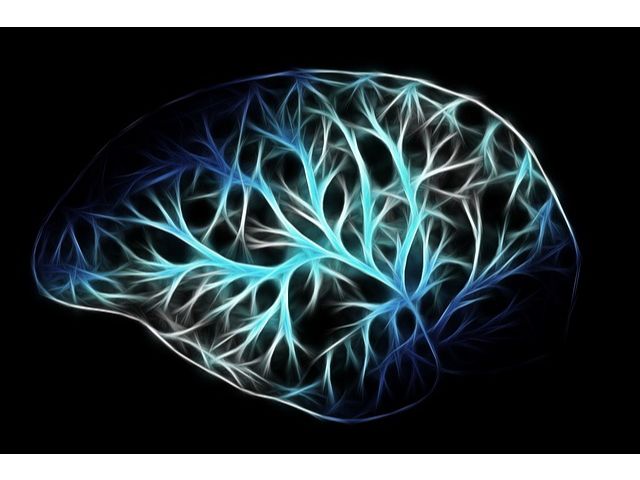 神経機能の低下