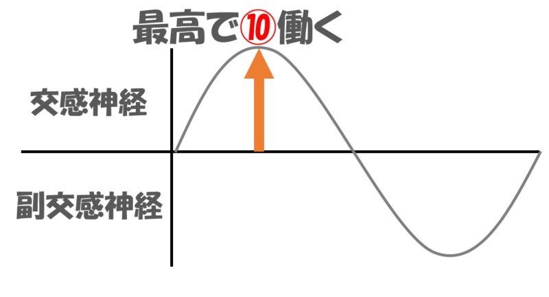 交感神経が10働く場合のグラフ