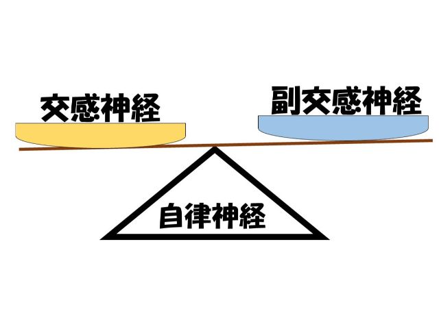 自律神経について